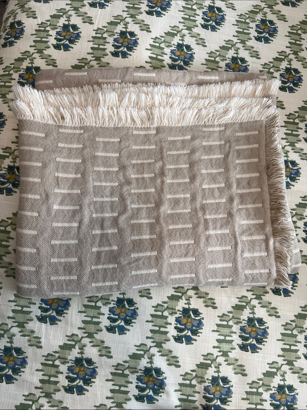 Threshold Neutral Beige and Cream Fringe Throw Blanket